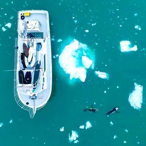 Meet your Posher, Jill